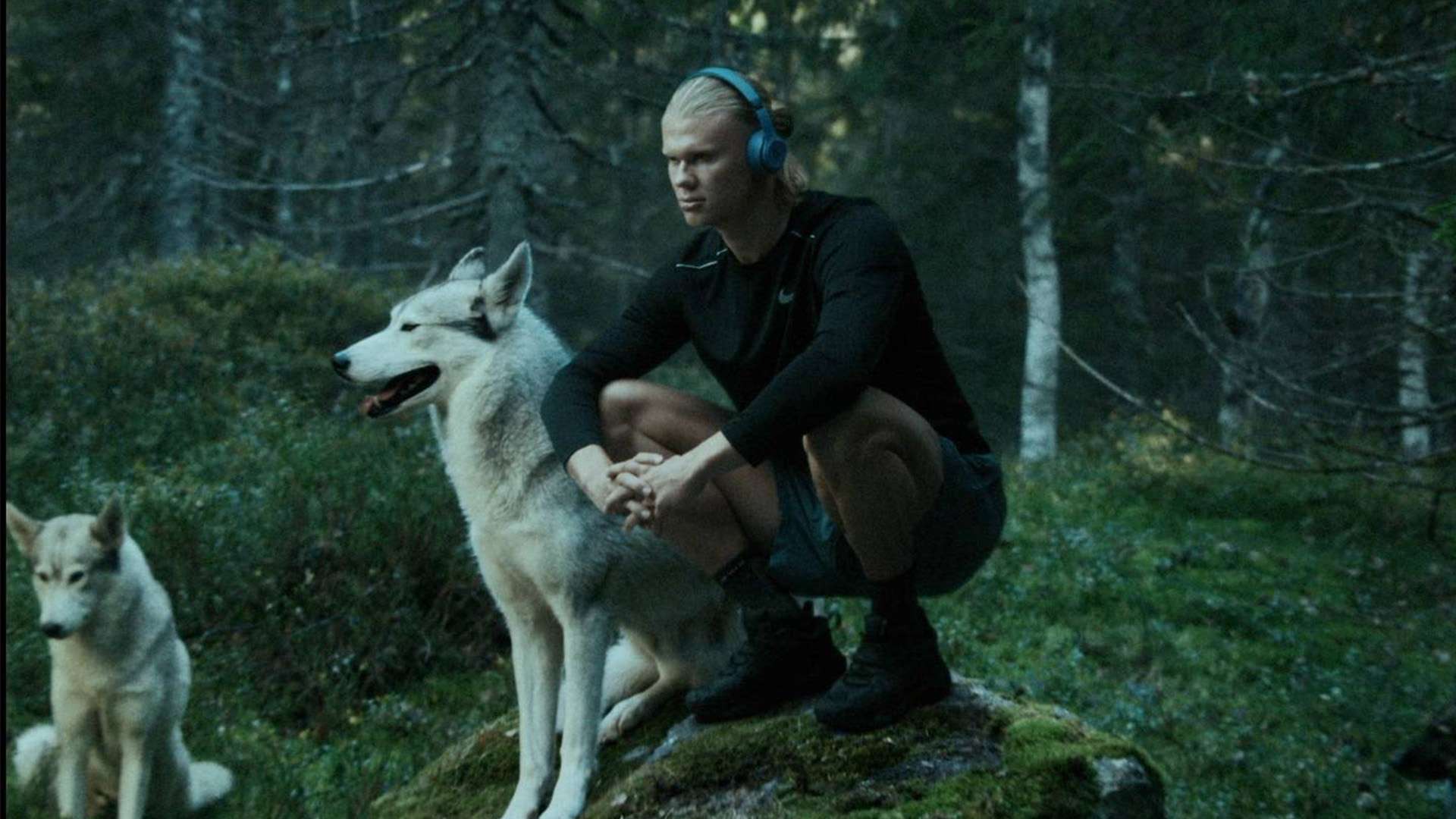 心理防线往 心理防线往